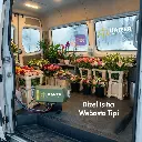 Kaizer.Germany (3).webp